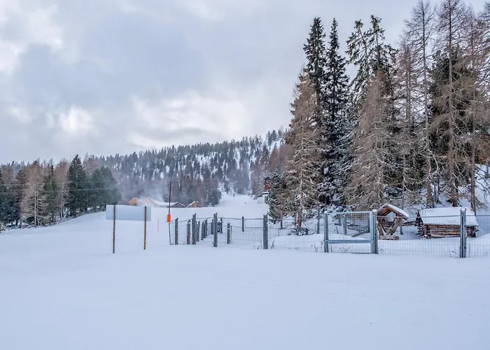 Deluxe Zirberl 1 Apartmán Weisspriach